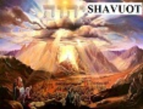 SHAVUOT (Semanas)